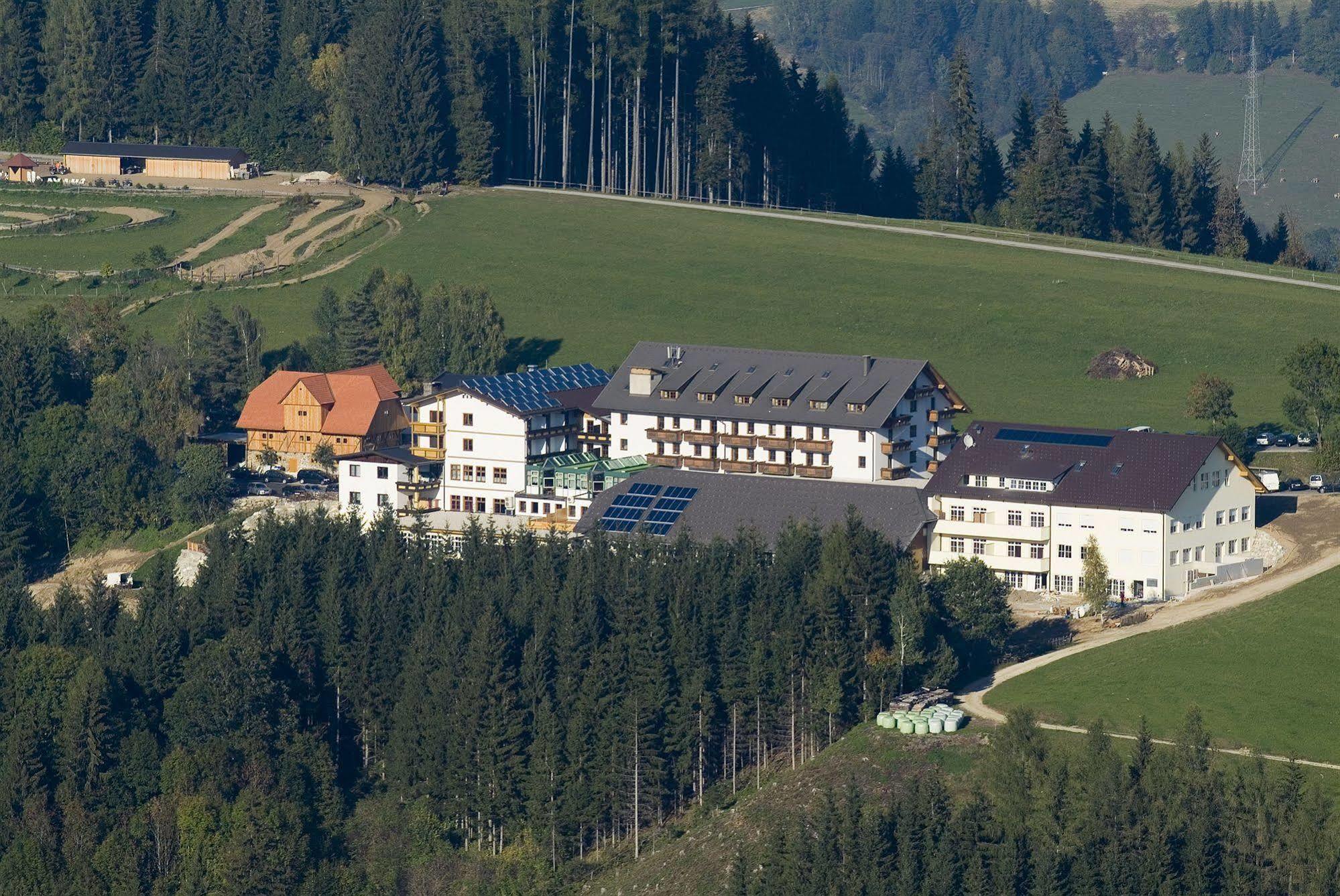 Hotel Moselebauer Бад-Санкт-Леонгард-ім-Лафантталь Екстер'єр фото